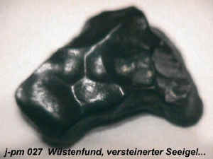 jpm027b-Pseudometeorit.jpg (38620 Byte)